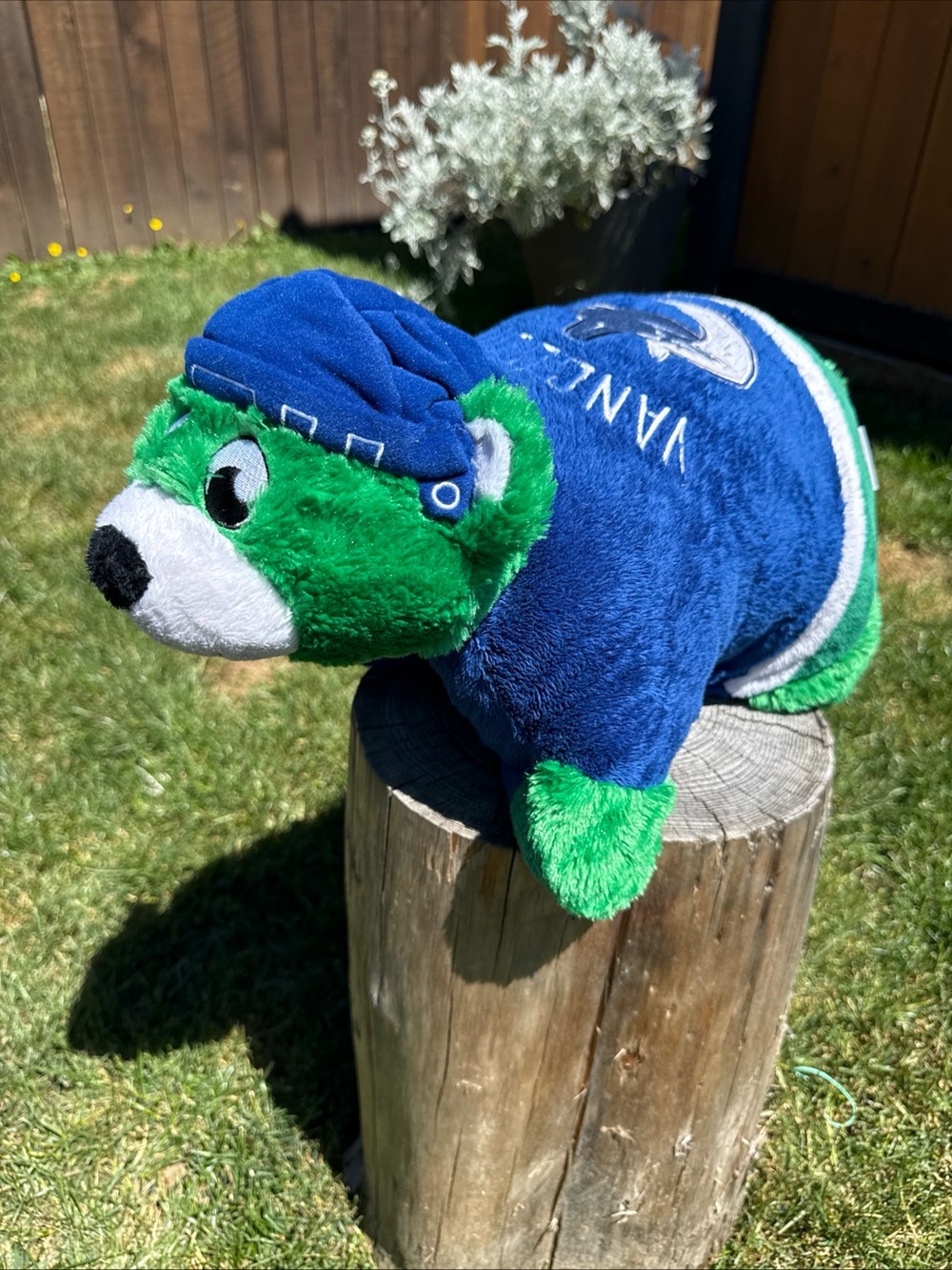 Vancouver Canucks pillow pet official licensed merch.